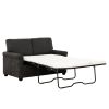Convertible Twin Sleeper Sofa with USB Ports, Modern Upholstered Sofa Bed, Living Room 2-Seater Sofa/Loveseat, Dark Gray